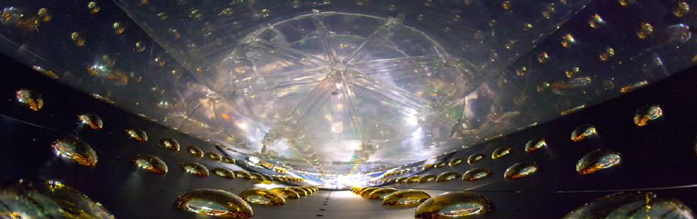 Daya Bay Antineutrino Detector Hong Kong