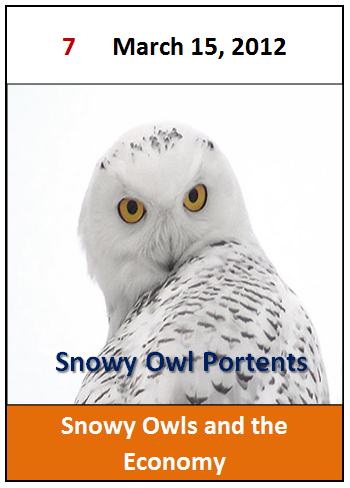 Snowy Owls