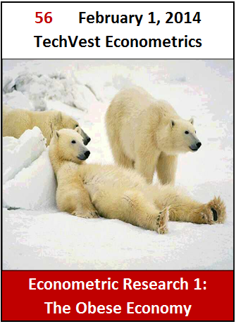 56 The Obese Economy